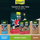Tetra Pond KOI Sticks 4 lt