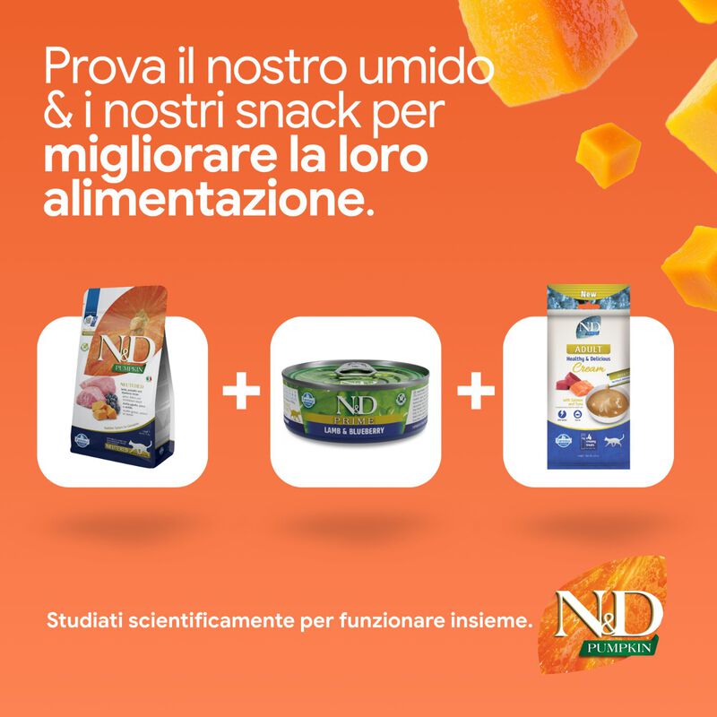 N&D Farmina Pumpkin Neutered Cat Agnello e Mirtillo 300 gr