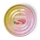 Terra Felis Famousse Cat Adult Coniglio e Tacchino 80 gr