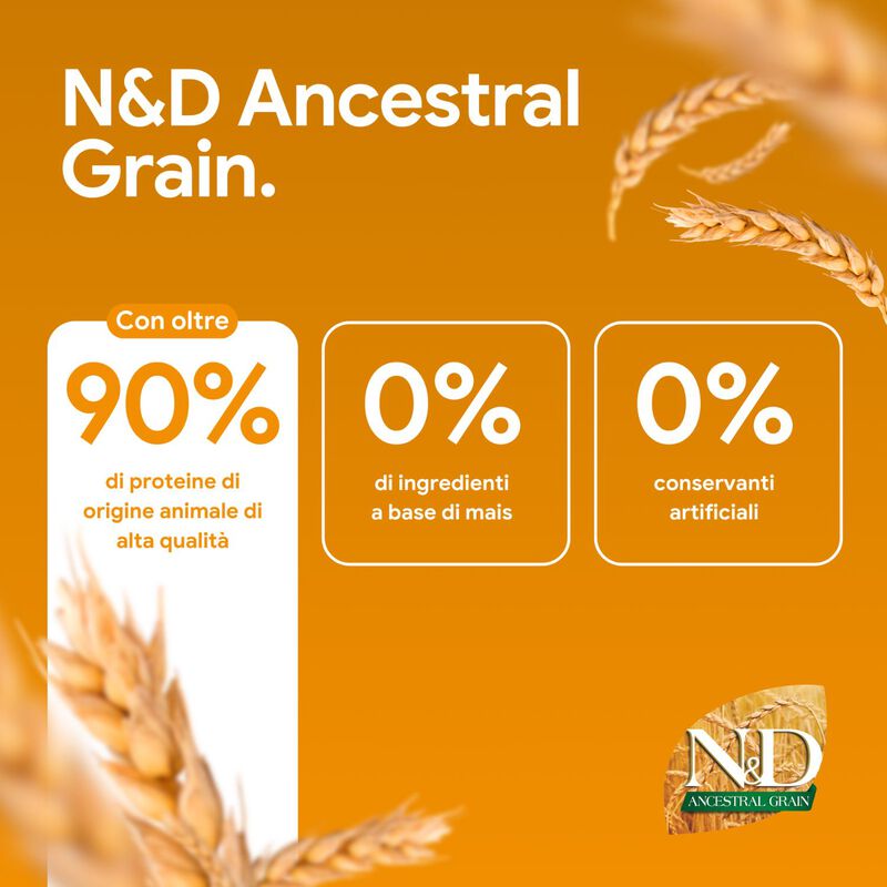 N&D Farmina Ancestral Grain Puppy Medium & Maxi Agnello e Mirtillo 12 kg
