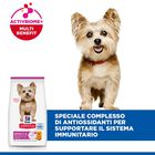 Hill's Science Plan Dog Small & Mini Adult con Pollo 300 gr