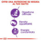 Royal Canin Cat Adult Sensible 33 10 kg