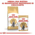 Royal Canin Cat Adult British Shorthair 2 kg