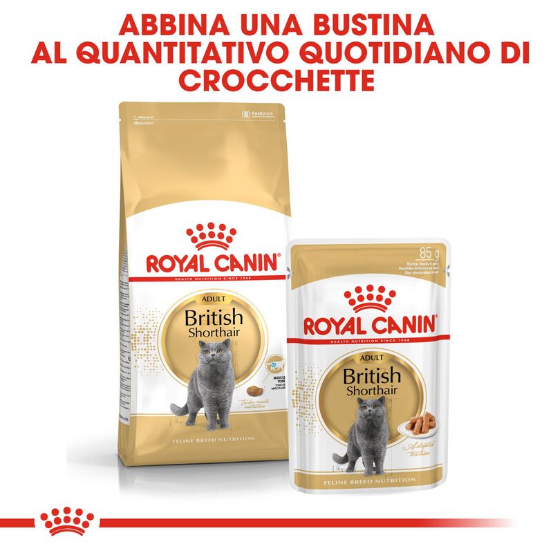Royal Canin Cat Adult British Shorthair 2 kg