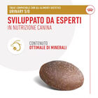 Royal Canin Treats Urinary 230g 
