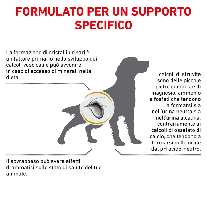 Royal Canin Veterinary Diet Urinary Small Dog 4 kg