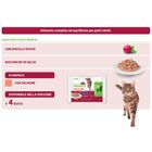 Natural Trainer Cat Adult al Salmone 4 x 85 gr