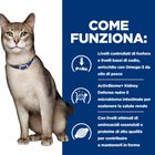 Hill's Prescription Diet Cat k/d Kidney Care Renal con Salmone 85 gr