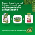 N&D Farmina Prime Cat Adult Cinghiale & Mela 1,5 kg