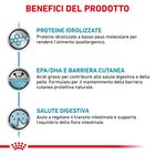 Royal Canin Veterinary Diet Dog Hypoallergenic 7 kg