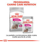 Royal Canin Dog Mini Adult e Senior Exigent 1 kg - Scad 23 Ottobre 2026