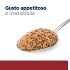 Hill's Prescription Diet Dog i/d Digestive Care con Tacchino 360 gr