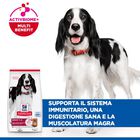 Hill's Science Plan Dog Adult Medium con Agnello e Riso 14 kg