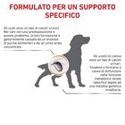 Royal Canin Veterinary Diet Dog Urinary U/C 2 kg