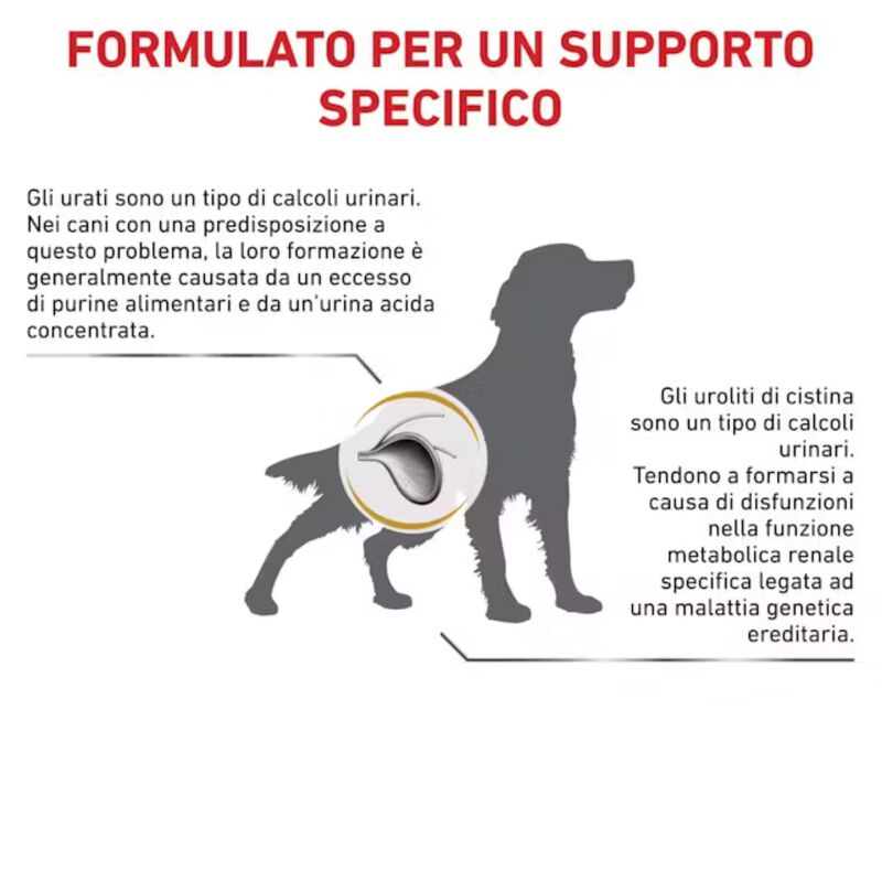 Royal Canin Veterinary Diet Dog Urinary U/C 2 kg