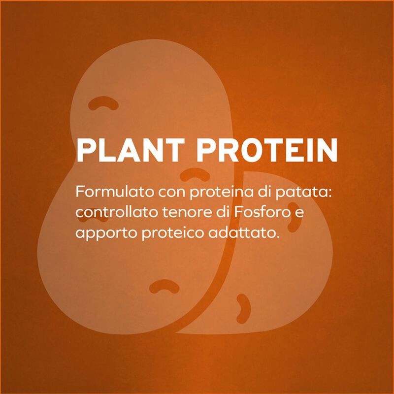 Forza 10 Active Vet Diet Renal per Gatti Adulti al Pesce 1,5 kg