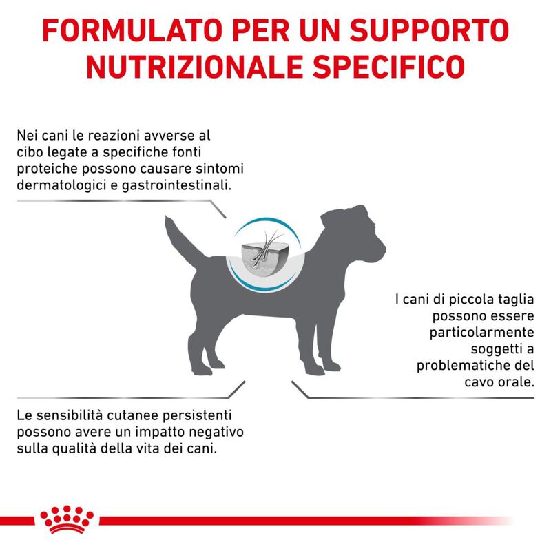 Royal Canin Veterinary Diet Dog Small Anallergenic 3 kg