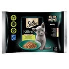 Sheba Kitten Selezione Assortita in salsa con Salmone e Pollo 4x85gr