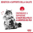 Royal Canin Cat Adult Hair and Skin Care 400 gr