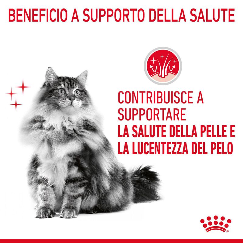 Royal Canin Cat Adult Hair and Skin Care 400 gr