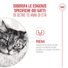 Royal Canin Cat Senior 15+ anni Airlift Mousse 85gr