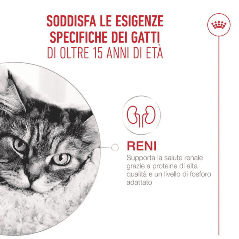 Royal Canin Cat Senior 15+ anni Airlift Mousse 85gr