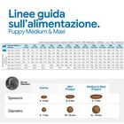 N&D Farmina Ancestral Grain Puppy Medium & Maxi Agnello e Mirtillo 12 kg