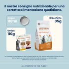 Almo Nature Life Maintenance Cat Adult Pollo 400 gr