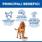 Hill's Science Plan Dog Light Medium Mature 7+ con Pollo 14 kg