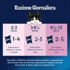 Felix Le Ghiottonerie Kitten Selezioni Deliziose Manzo e Pollo 12 x 85 gr