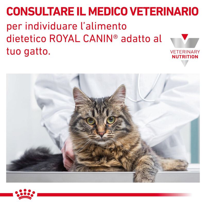 Royal Canin Veterinary Diet Cat Renal con pollo 12x85 gr