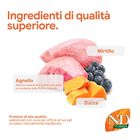 N&D Farmina Pumpkin Dog Adult Medium & Maxi Agnello e Mirtillo 12 kg