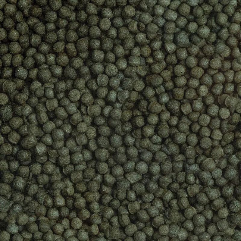 Sera Koi Color Large 3,8 lt