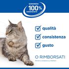Hill's Science Plan Cat Kitten al Pollo 1,5 kg