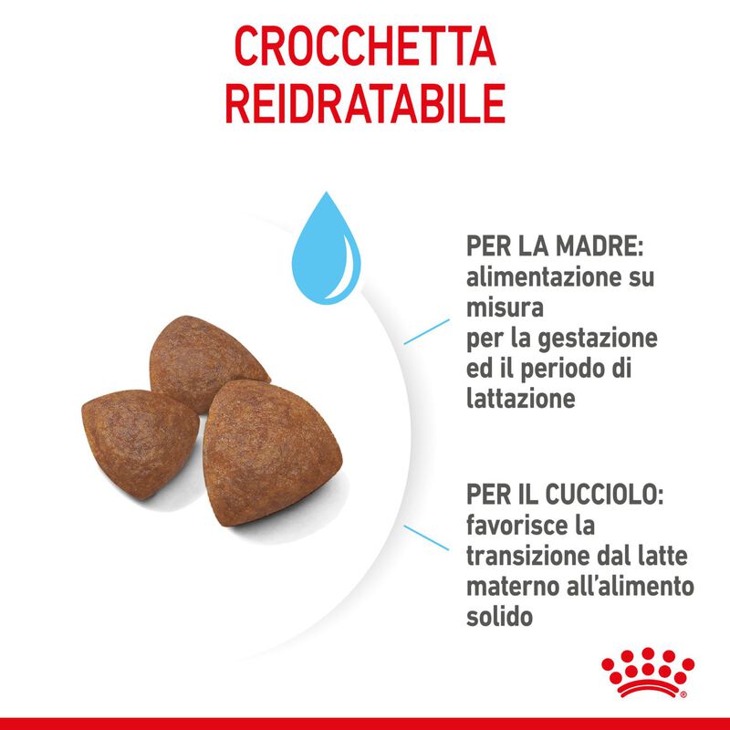 Royal Canin Dog Medium Starter Mother & Babydog 4 kg