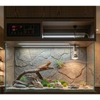 Askoll decorazione per acquari e terrari Teschio di Drago