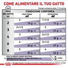Royal Canin Expert Cat Adult Neutered Balance 85x12 pz - Scad 30 Settembre 26
