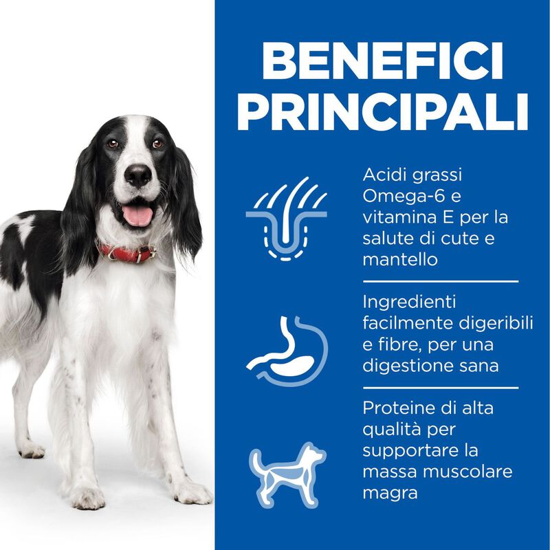 Hill's Science Plan Dog Medium Adult con Pollo 14 kg