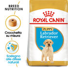 Royal Canin Dog Puppy Labrador Retriver 3 kg