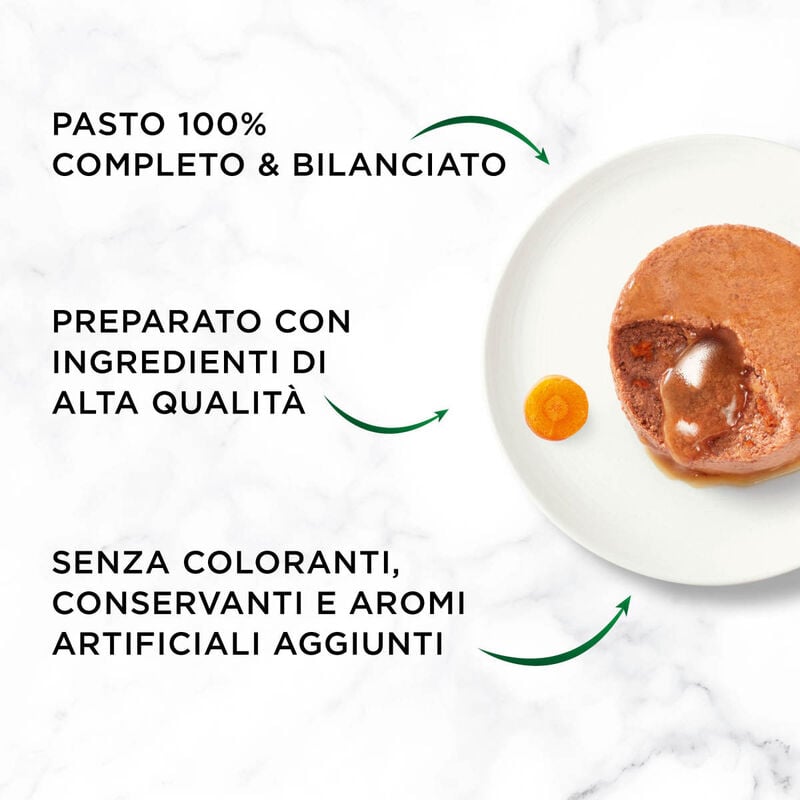 Gourmet Nature's Creation Cat Mousse Cuore di Pollo e carote in salsa 85gr