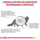 Royal Canin Veterinary Diet Cat Fiber Response 400 gr