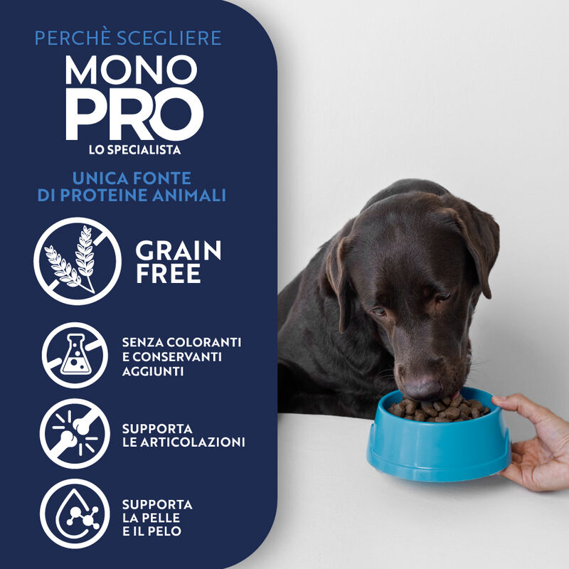 Monopro Dog Adult Mini Grain Free Salmone 800 gr