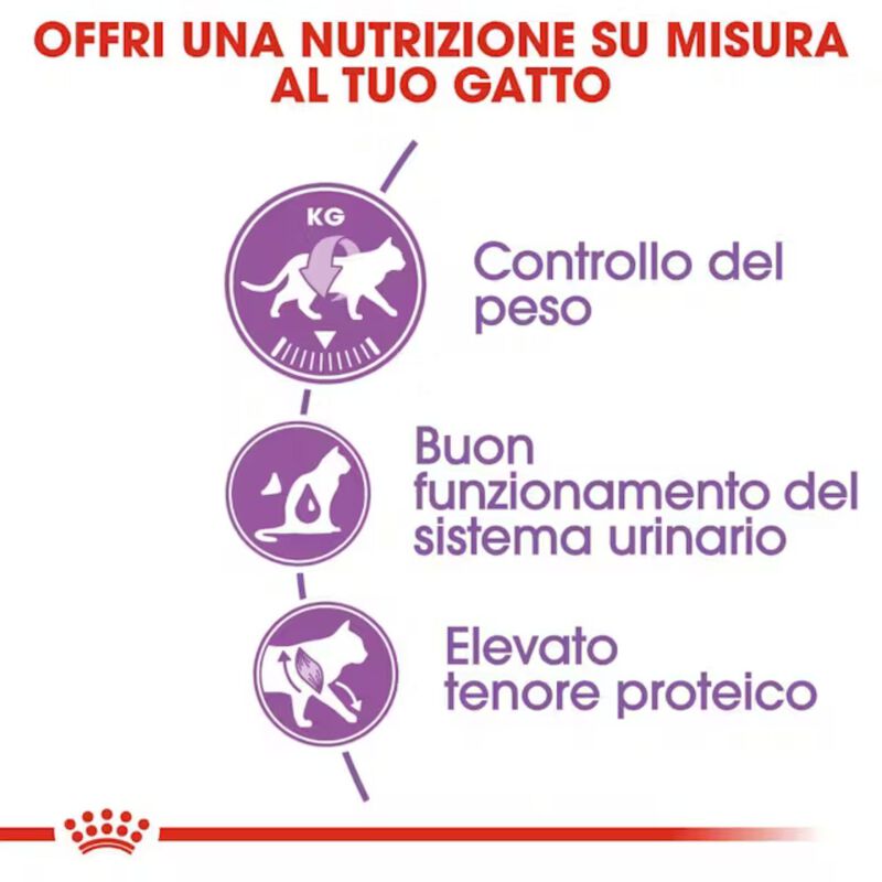 Royal Canin Cat Adult Sterilised 37 2 kg
