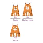 Petreet Cat 100% Monoproteico Pollo 70 gr