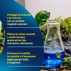Tetra AquaSafe 100 ml