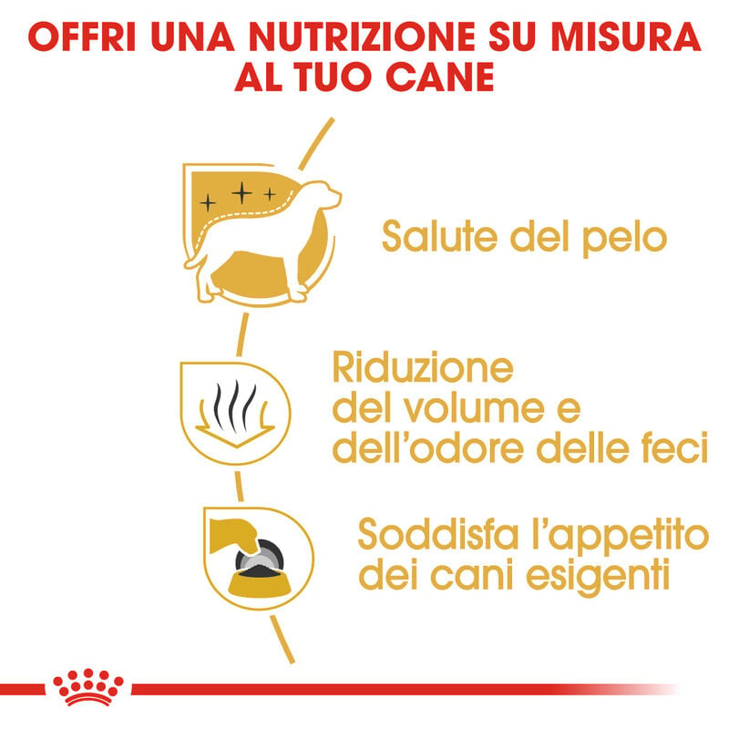 Royal Canin Dog Adult Maltese 500 gr