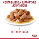 Royal Canin Veterinary Diet Cat Mature Consult 12 pz x 85 gr