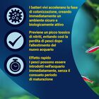 Tetra SafeStart Bacteria 50 ml - Scad 31 Agosto 26