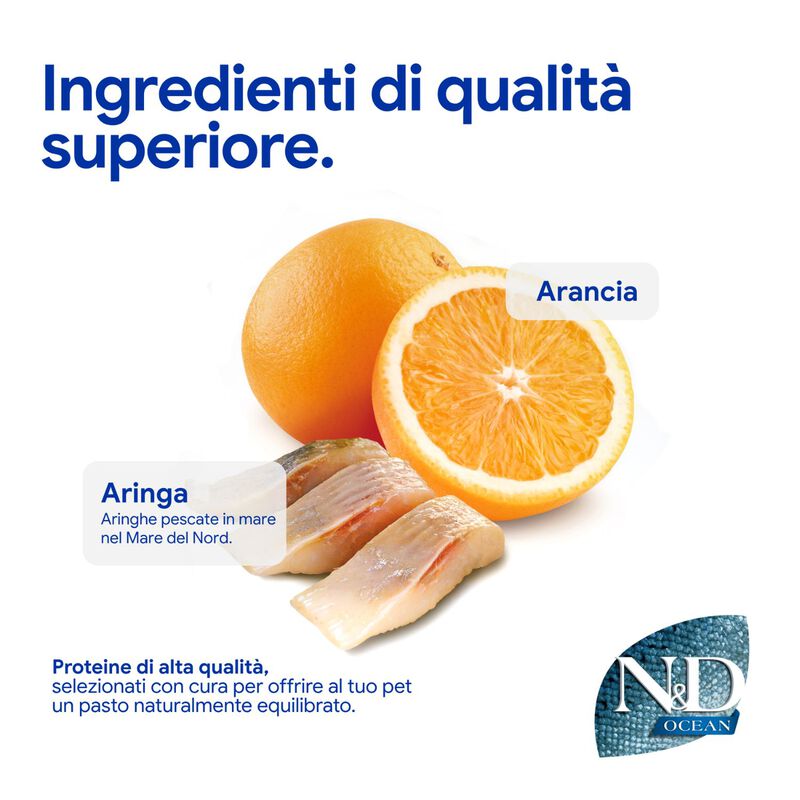 N&D Farmina Ocean Dog Adult Medium & Maxi Aringa & Arancia 2,5 kg