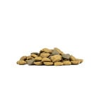 Forza10 Active Vet Diet Dog Adult Echo 4 kg